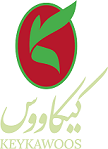Logo-keykavoos2